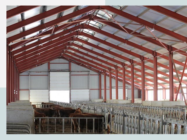 Строительство коровников в Великих Луках