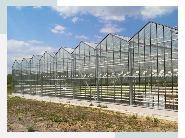 Строительство теплиц в Великие Луки от 620 руб. за м²