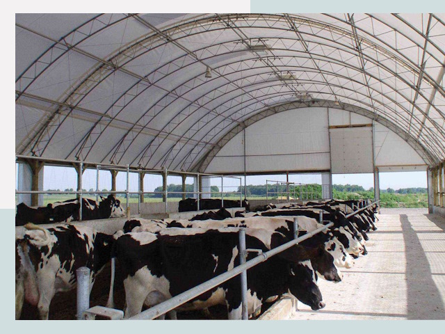 Тентовые коровники в Великих Луках