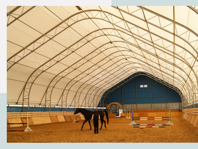 Строительство конных манежей в Великих Луках
